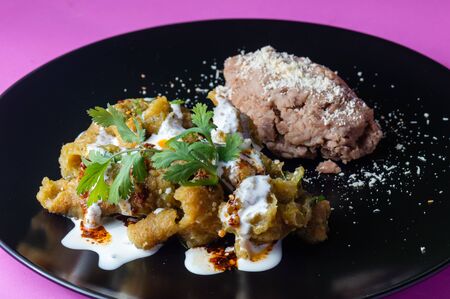 Pork rinds in green salsa, chicharrones in salsa verde, Mexican food. A traditional and popular breakfast in Mexico, served with refried beans and soft corn tortillasの写真素材