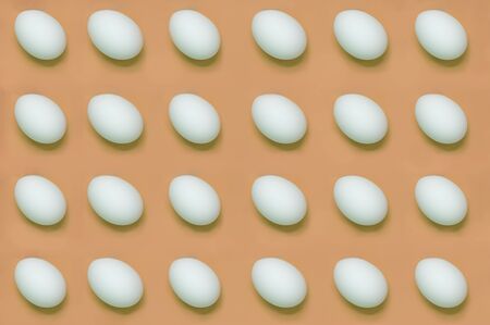 White eggs arranged on solid color backgroundの写真素材