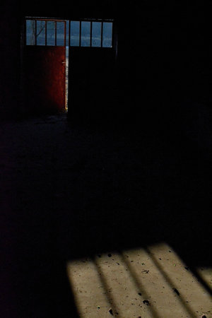 light and dark