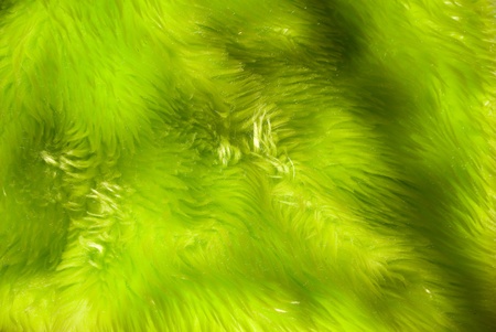 Close-up background of a green synthetic furの写真素材