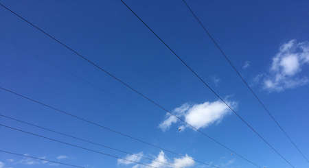 Electric wires line across a cloudy blue sky backgroundの写真素材