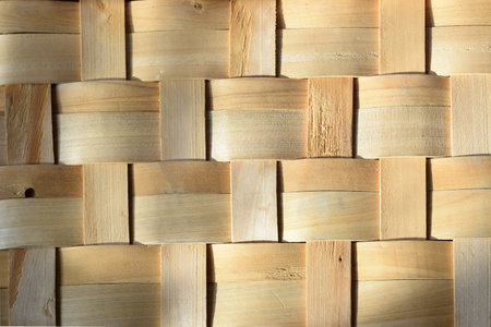 bamboo texture background. Bamboo texture background. Bamboo textureの写真素材
