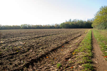 Plowed field in spring time with blue sky.の写真素材