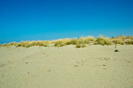 white sand on the beach with dunes in summertime with a blue skyの写真素材