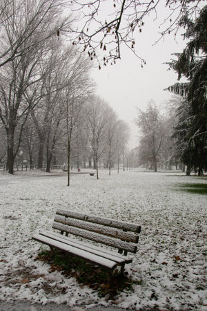 park bench on a winter alley at snowfallの写真素材