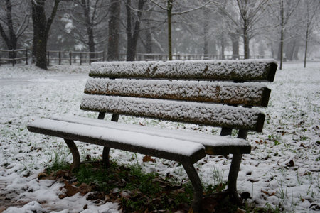 park bench on a winter alley at snowfallの写真素材