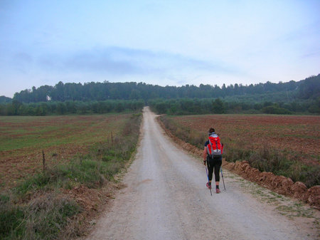 Traveler woman with backpack walking on Francigena path in Italyの写真素材