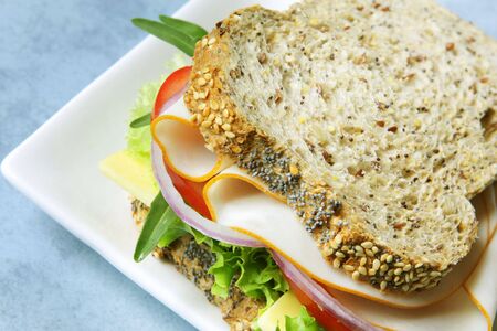 Chicken or turkey sandwich with fresh salad and cheese, on multi-grain bread.の写真素材