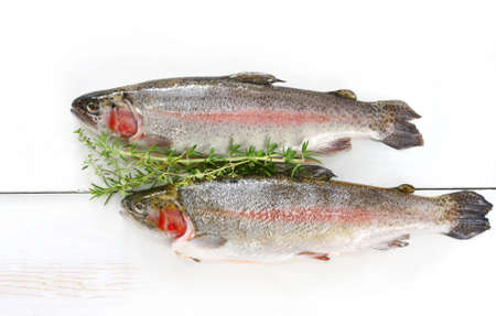 Two fresh rainbow trout on white weathered timber, with herbs.の写真素材