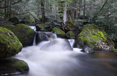 River cascading over moss-covered boulders, in ancient temperate rainforest.  Yarra Ranges, Victoria, Australia.の写真素材