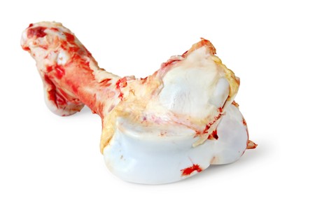 Huge dog bone, isolated on white. path included.の写真素材