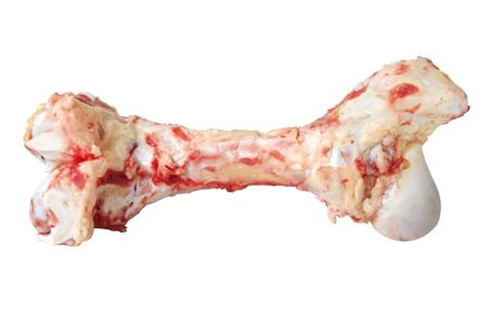 Large raw dog bone, isolated on white. path included.の写真素材