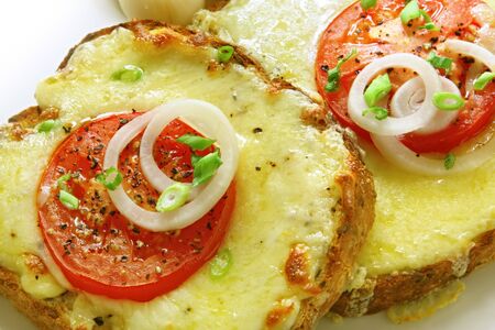 Open sandwiches with grilled cheese, tomato and onion.  A delicious melting snack.の写真素材