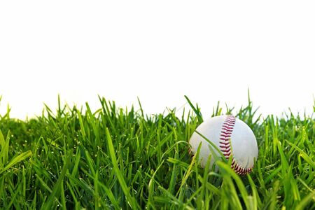 Old baseball in dewy grass, with white background.の写真素材