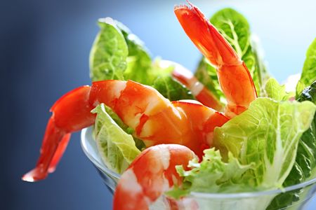 Shrimp cocktail with baby cos lettuce and creamy seafood sauce, in a martini glass.  Lovely king prawns.の写真素材