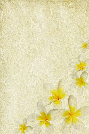 Plumeria flowers combined with silk paper textures.  の写真素材