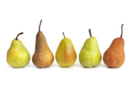 Pears in a row, isolated on white background with soft shadow.  Includes bosc, anjou and packham varieties.の写真素材