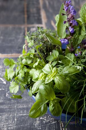 Herb garden in a blue bowl, over old timber.  Includes basil, chives, rosemary, flowering sage, thyme, mint, rosemary, oregano, and coriander or cilantro.の写真素材