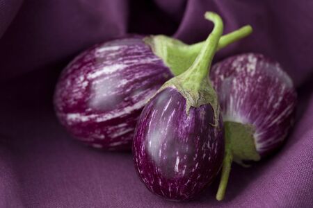 Thai eggplant,or の写真素材
