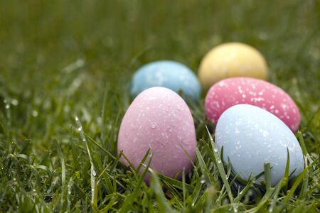 Easter eggs in dewy grass.  Shallow depth of field.