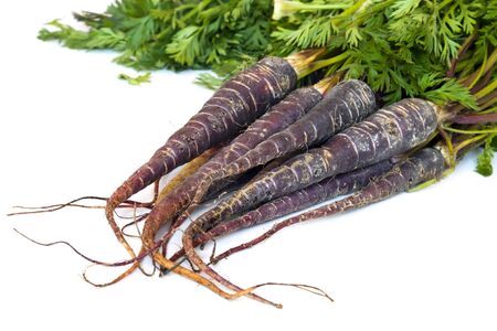 Bunch of heirloom purple carrots, over white background.  High in antioxidants.の写真素材