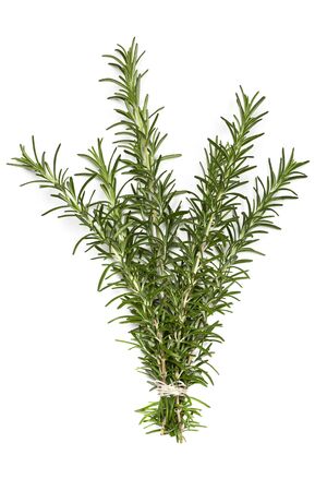 Bunch of fresh rosemary, isolated on white background の写真素材