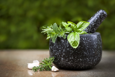 Mortar and pestle with fresh herbs.  Green foliage behind.の写真素材