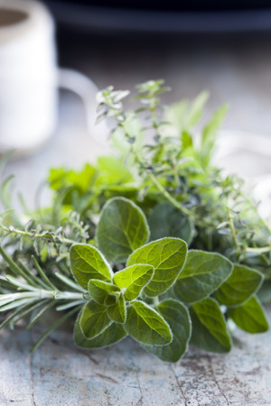 Fresh herbs on bench, with twine.  Bouquet garni, with focus on oregano.の写真素材
