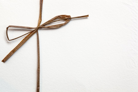 String bow on textured white paper.の写真素材
