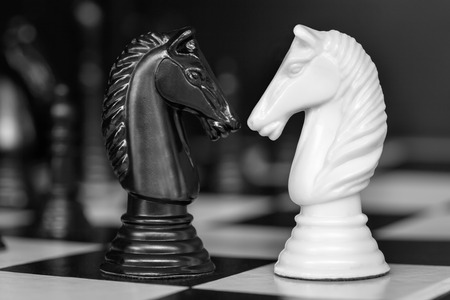 Chess knights head to head.  Black and white image.の写真素材