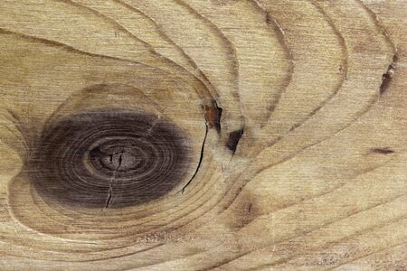 Wood grain texture background, with knot.の写真素材