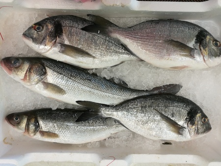 Fresh sea bream at the market