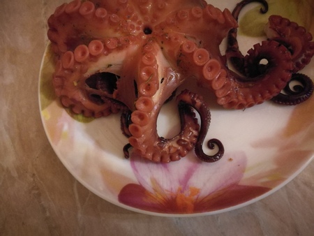 boiled octopusの写真素材