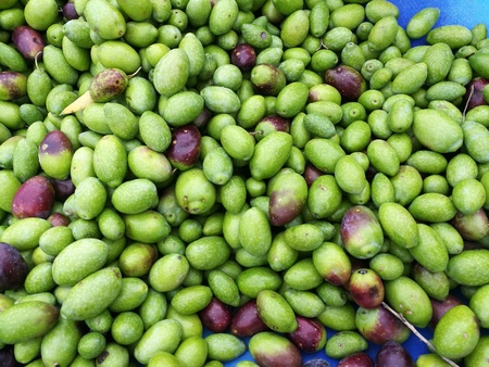 olivesの写真素材