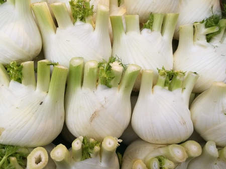 fennel marketの写真素材