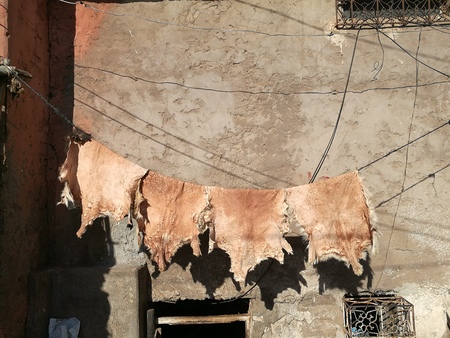 tannery in Marrakeshの写真素材