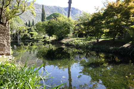 nymph gardensの写真素材