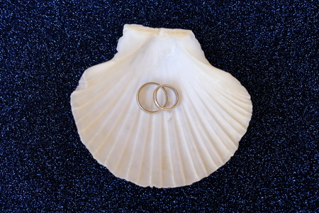 Wedding ringsの写真素材