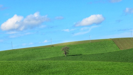 minimal in the Molise countryside