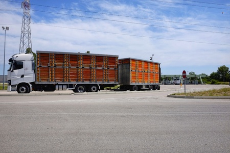 articulated for transport of live animalsの写真素材