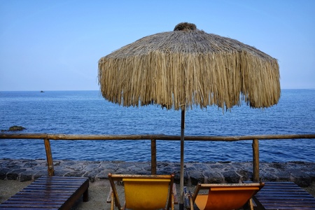 palm trees with sun loungersの写真素材