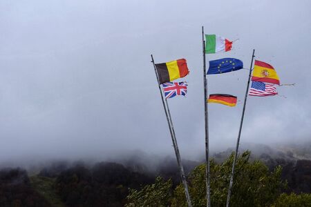 flags of various European countries on the roadsideの写真素材