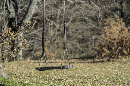 Let s swingの写真素材