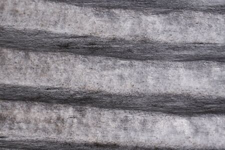 High resolution wooden texture wooden grey brown black white lines branch. High quality photoの写真素材