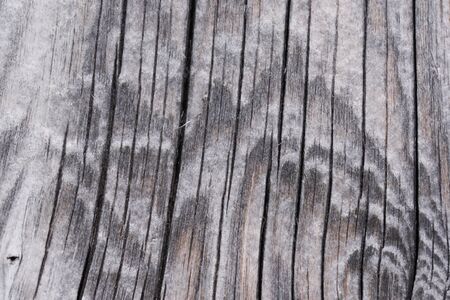 High resolution wooden texture wooden grey brown black white lines branch. High quality photoの写真素材