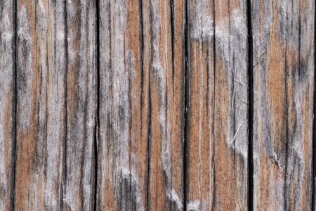 High resolution wooden texture wooden grey brown black white lines branch. High quality photoの写真素材