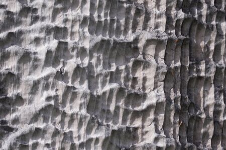 High resolution wooden texture wooden grey brown black white lines branch. High quality photoの写真素材
