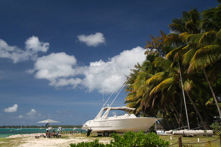 Tropical beach with boat and palms, Mauritiusの写真素材