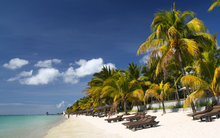 Tropical beach with palm trees and sun beds, Mauritiusの写真素材