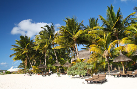 Tropical beach with white sand, palm trees and sun umbrellas, Mauritiusの写真素材
